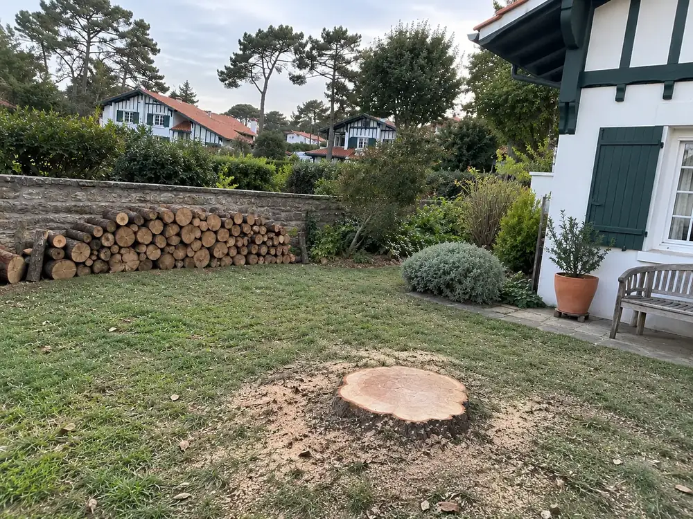Jardin dégagé après l'abattage de l'arbre