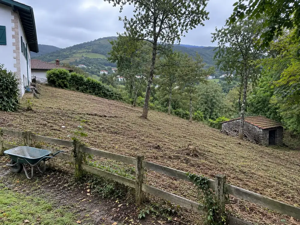 Terrain propre et dégagé, après débroussaillage