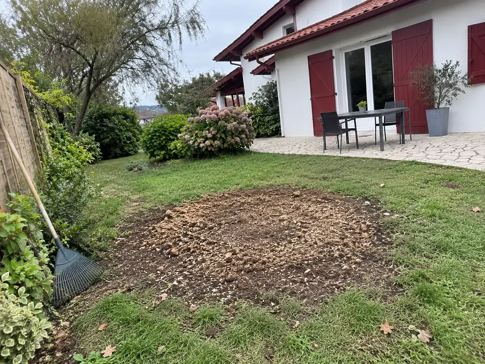 Pelouse sans souche, après dessouchage