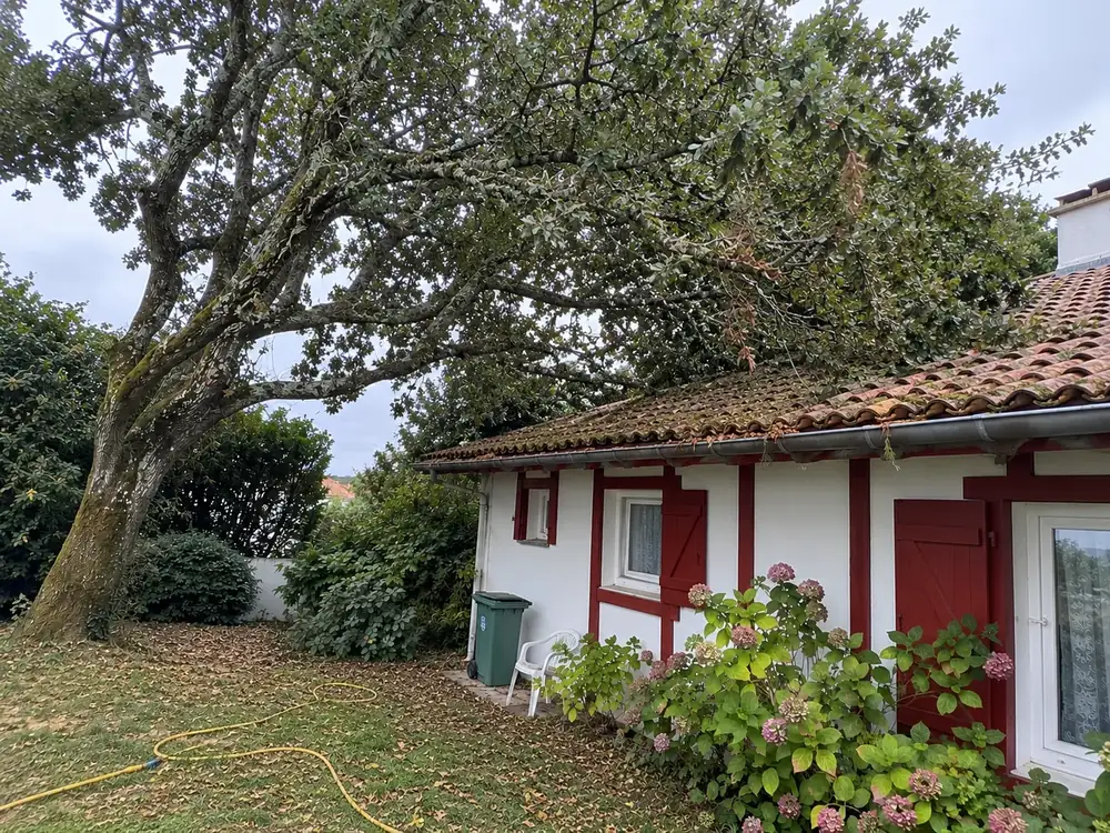 Arbre touffu dont les branches touchent un toit, avant élagage