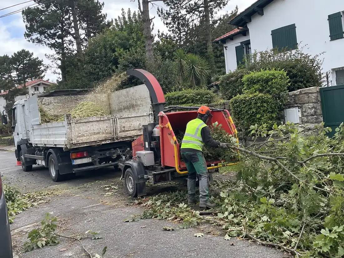 Broyeur de branches sur un chantier d'élagage